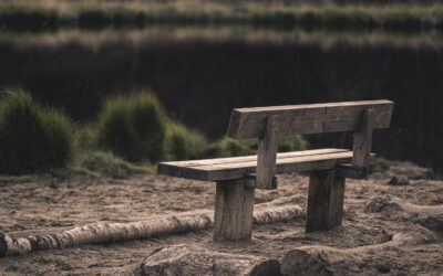 foto van een houten bankje in de natuur met niemand erop