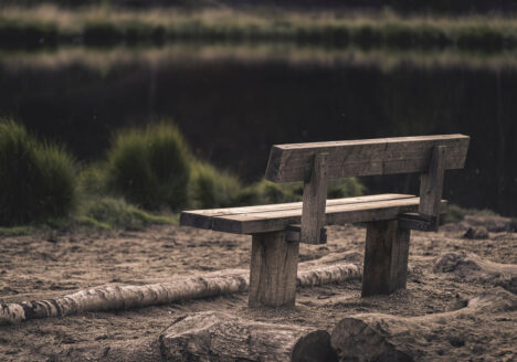 foto van een houten bankje in de natuur met niemand erop
